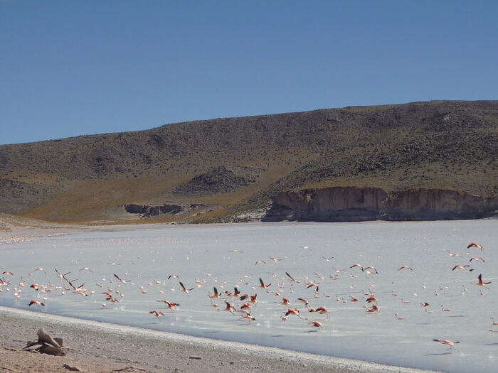 De Argentina a Perú 6 días